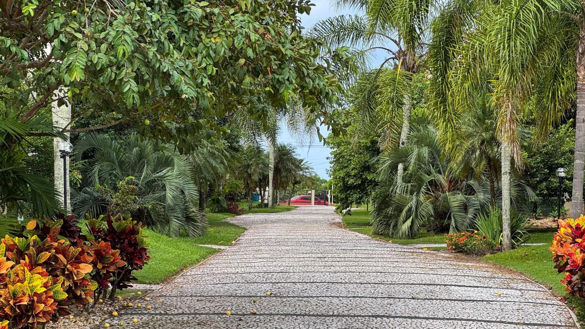Apto Cond. Porto Ventura 3 Quartos Florianópolis Kültér fotó